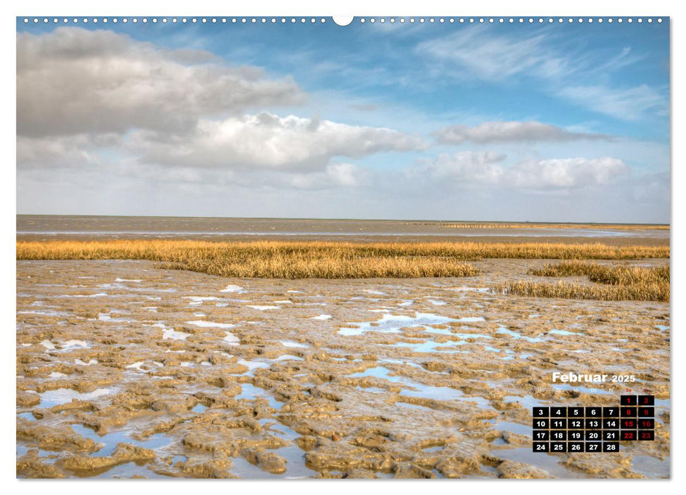 Nordfriesland und die Nordseeküste (CALVENDO Premium Wandkalender 2025)