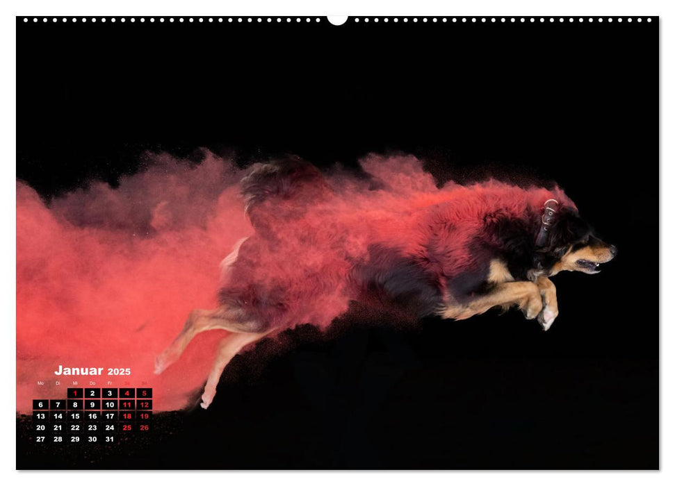 Holi Action (CALVENDO Premium Wandkalender 2025)