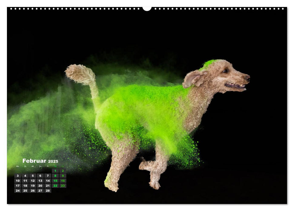 Holi Action (CALVENDO Premium Wandkalender 2025)