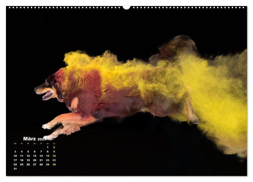 Holi Action (CALVENDO Premium Wandkalender 2025)