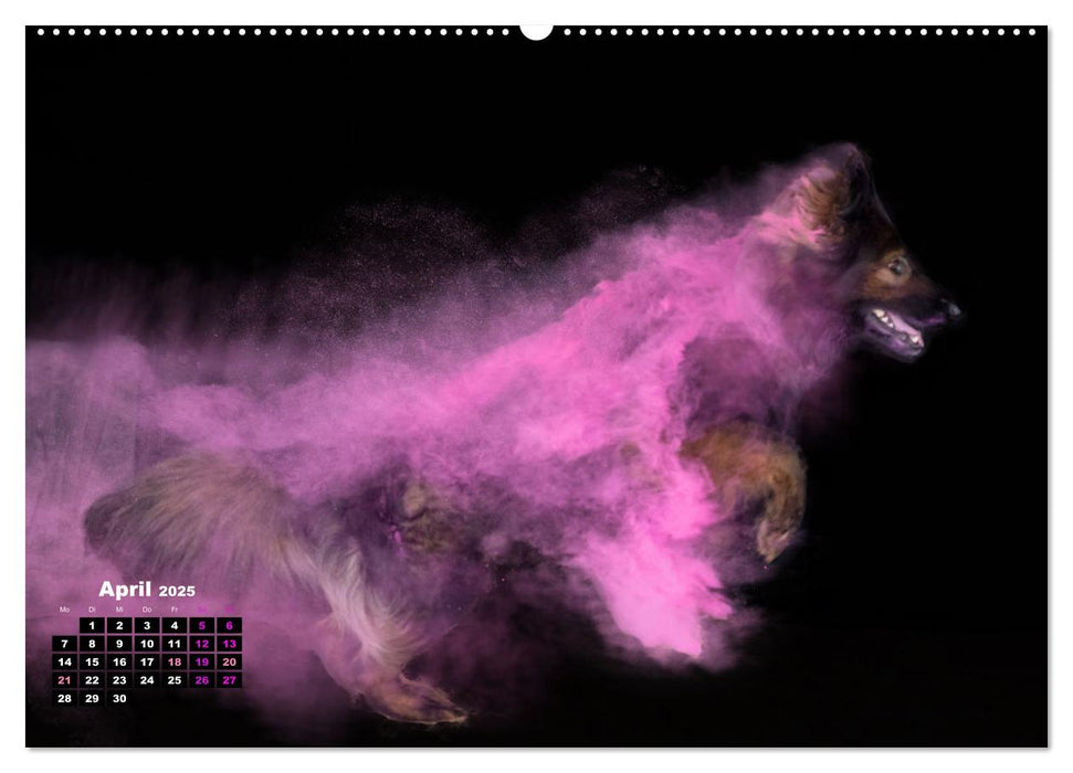 Holi Action (CALVENDO Premium Wandkalender 2025)