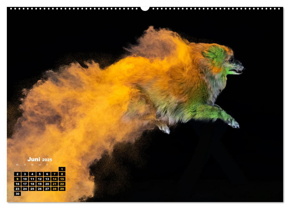 Holi Action (CALVENDO Premium Wandkalender 2025)