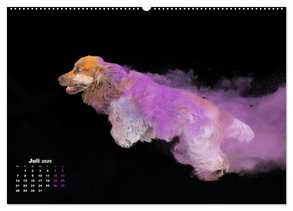 Holi Action (CALVENDO Premium Wandkalender 2025)