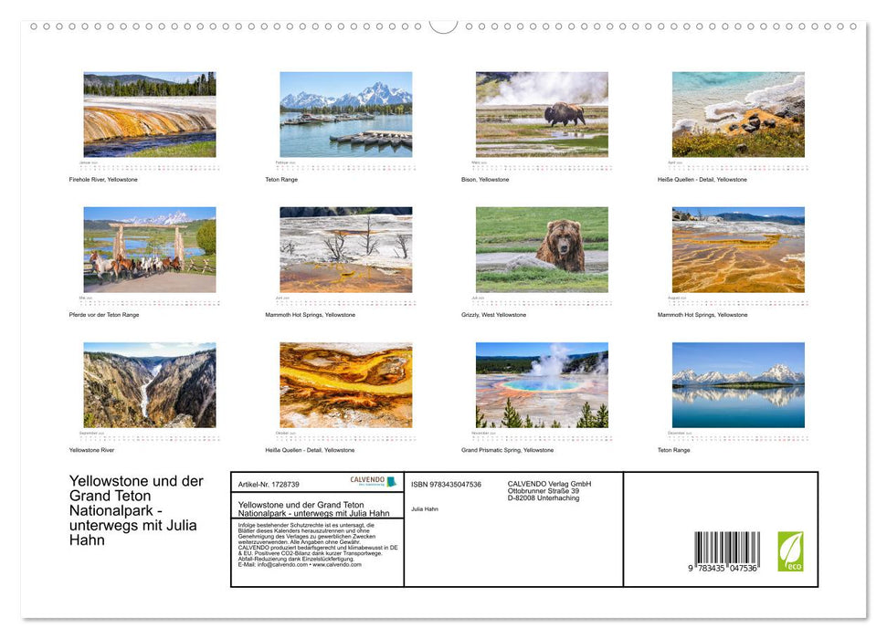 Yellowstone und der Grand Teton Nationalpark - unterwegs mit Julia Hahn (CALVENDO Premium Wandkalender 2025)