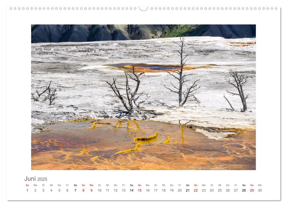 Yellowstone und der Grand Teton Nationalpark - unterwegs mit Julia Hahn (CALVENDO Premium Wandkalender 2025)