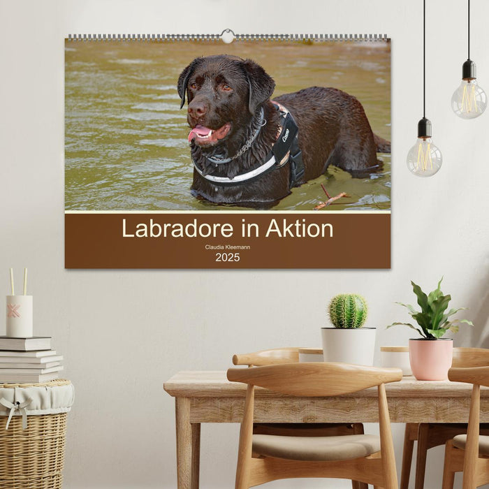 Labradore in Aktion (CALVENDO Wandkalender 2025)