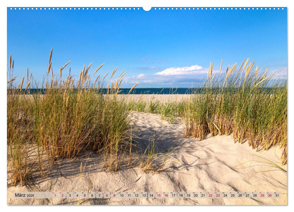 IN SYLT VERLIEBT (CALVENDO Premium Wandkalender 2025)