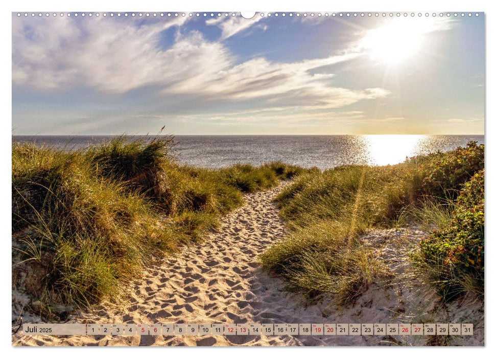 IN SYLT VERLIEBT (CALVENDO Premium Wandkalender 2025)