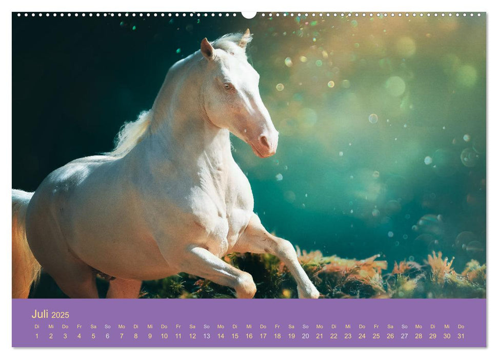 Von der Magie der Pferde (CALVENDO Premium Wandkalender 2025)