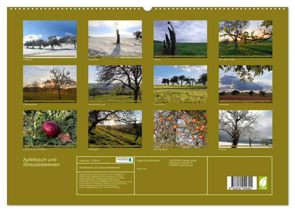 Apfelbaum und Streuobstwiesen (CALVENDO Premium Wandkalender 2025)