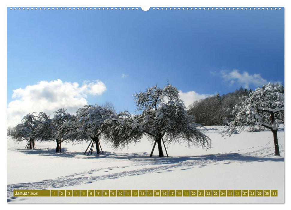 Apfelbaum und Streuobstwiesen (CALVENDO Premium Wandkalender 2025)