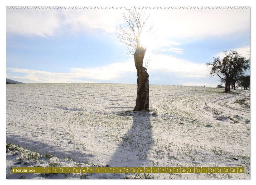 Apfelbaum und Streuobstwiesen (CALVENDO Premium Wandkalender 2025)