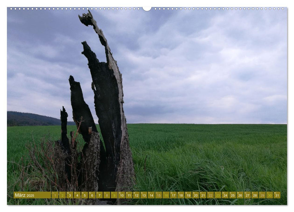 Apfelbaum und Streuobstwiesen (CALVENDO Premium Wandkalender 2025)