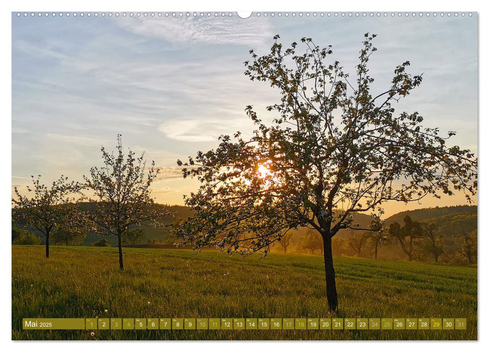 Apfelbaum und Streuobstwiesen (CALVENDO Premium Wandkalender 2025)