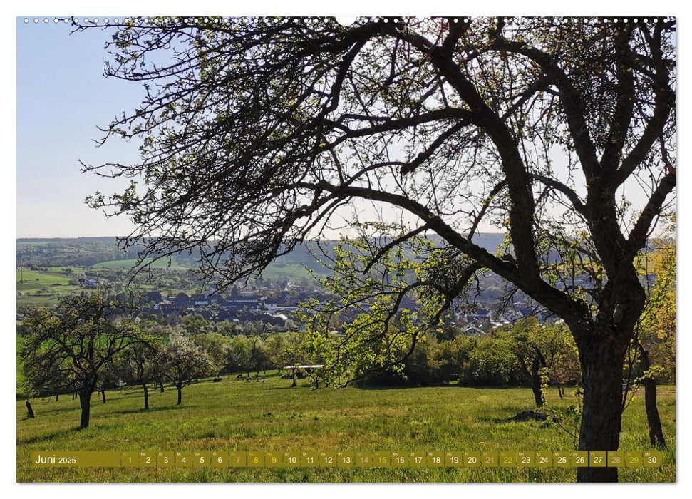 Apfelbaum und Streuobstwiesen (CALVENDO Premium Wandkalender 2025)