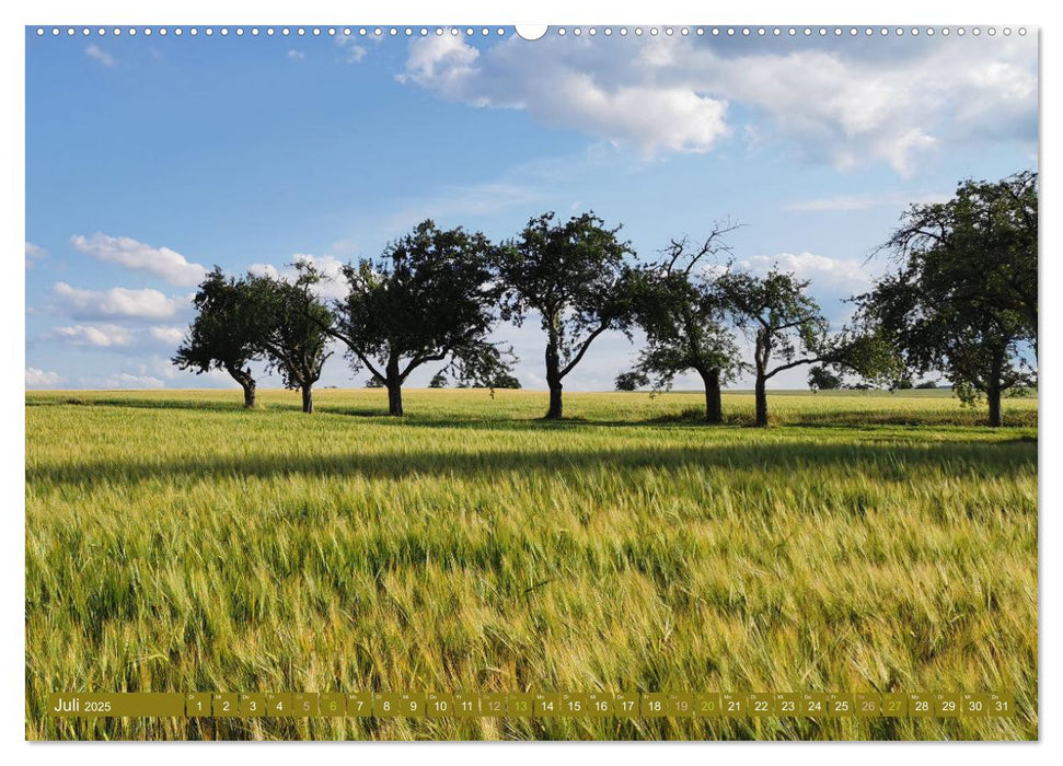 Apfelbaum und Streuobstwiesen (CALVENDO Premium Wandkalender 2025)