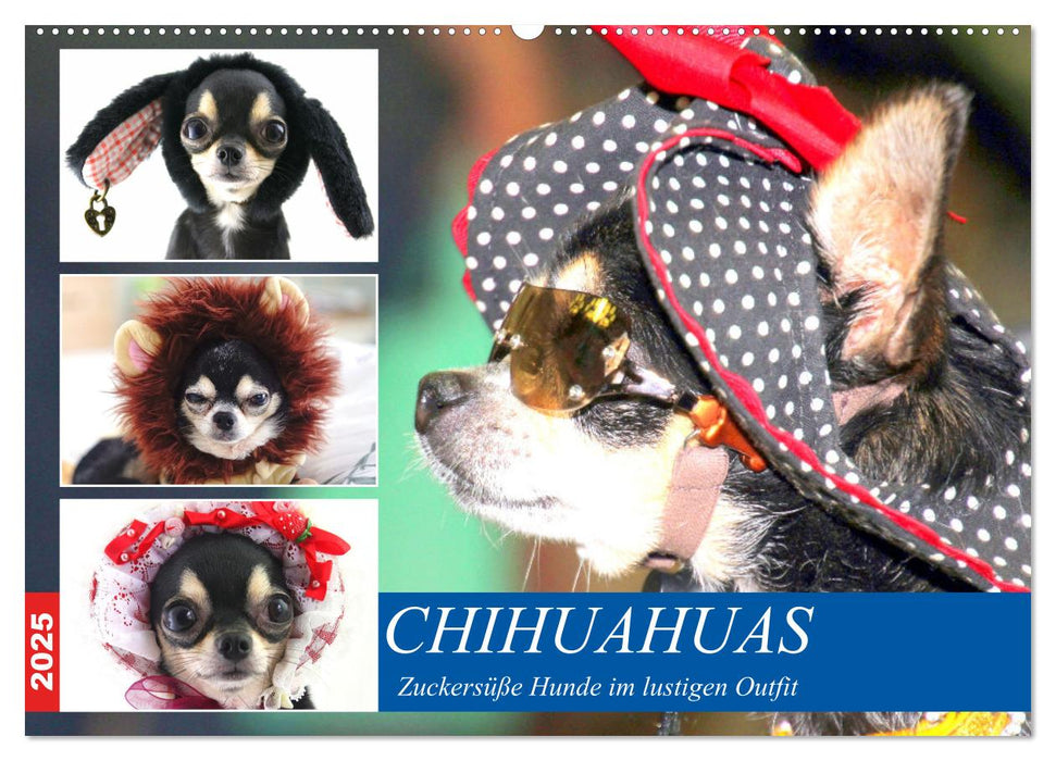 Chihuahuas. Zuckersüße Hunde im lustigen Outfit (CALVENDO Wandkalender 2025)