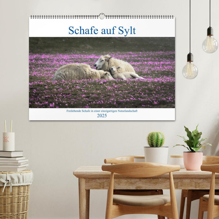 Schafe auf Sylt (CALVENDO Wandkalender 2025)