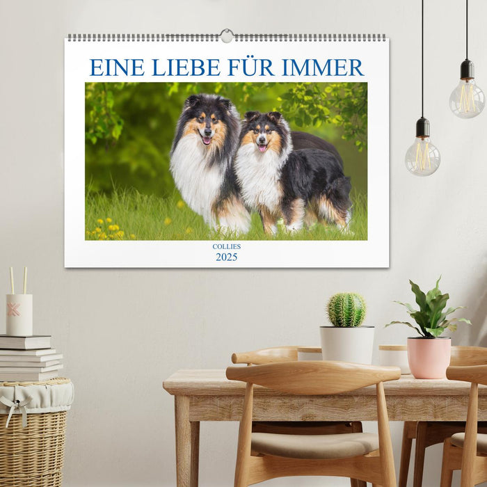 Eine Liebe für immer - Collies (CALVENDO Wandkalender 2025)