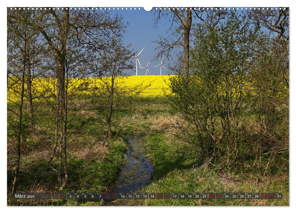 Windräder an der Ostsee! (CALVENDO Premium Wandkalender 2025)