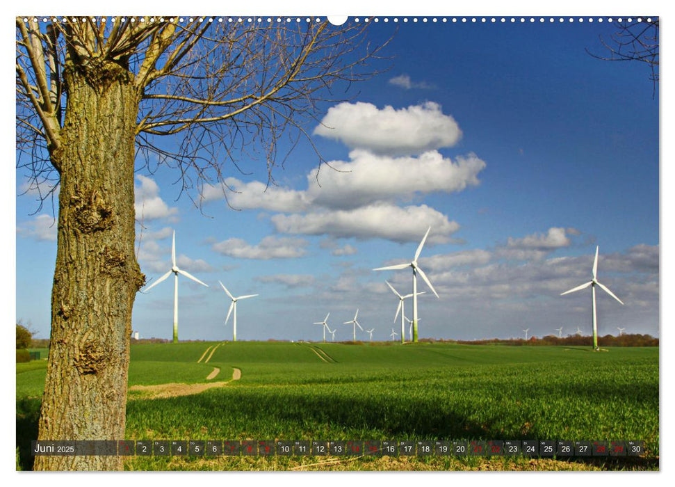 Windräder an der Ostsee! (CALVENDO Premium Wandkalender 2025)