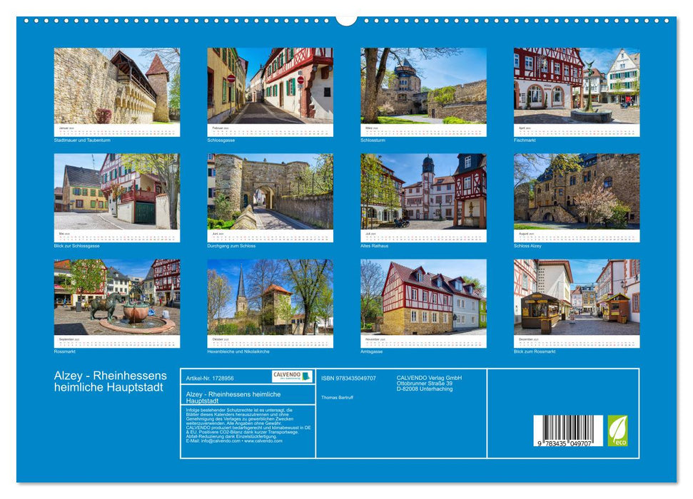 Alzey - Rheinhessens heimliche Hauptstadt (CALVENDO Premium Wandkalender 2025)