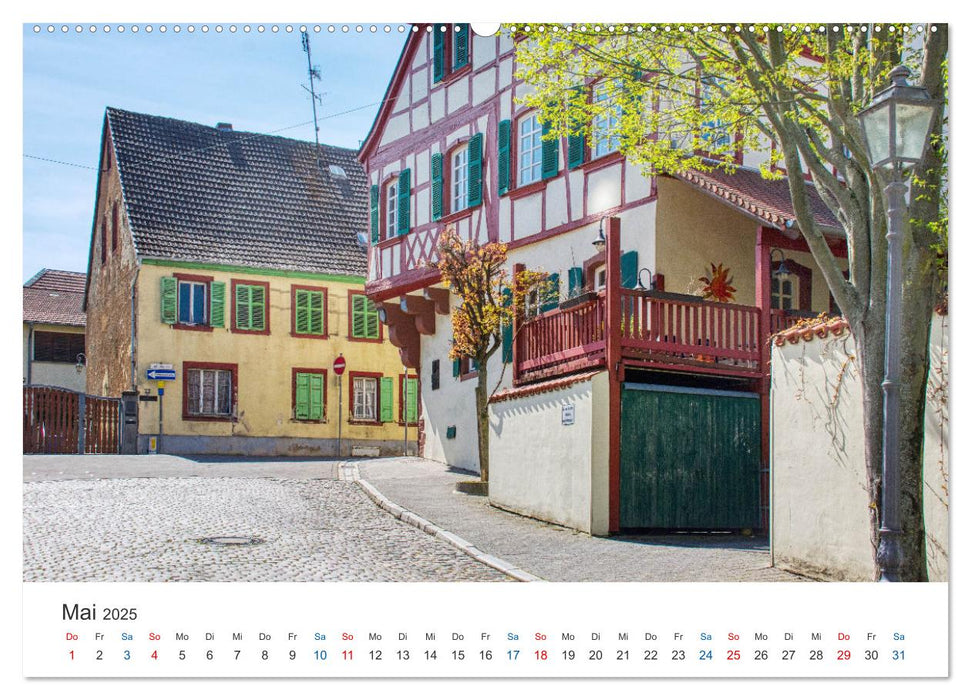 Alzey - Rheinhessens heimliche Hauptstadt (CALVENDO Premium Wandkalender 2025)