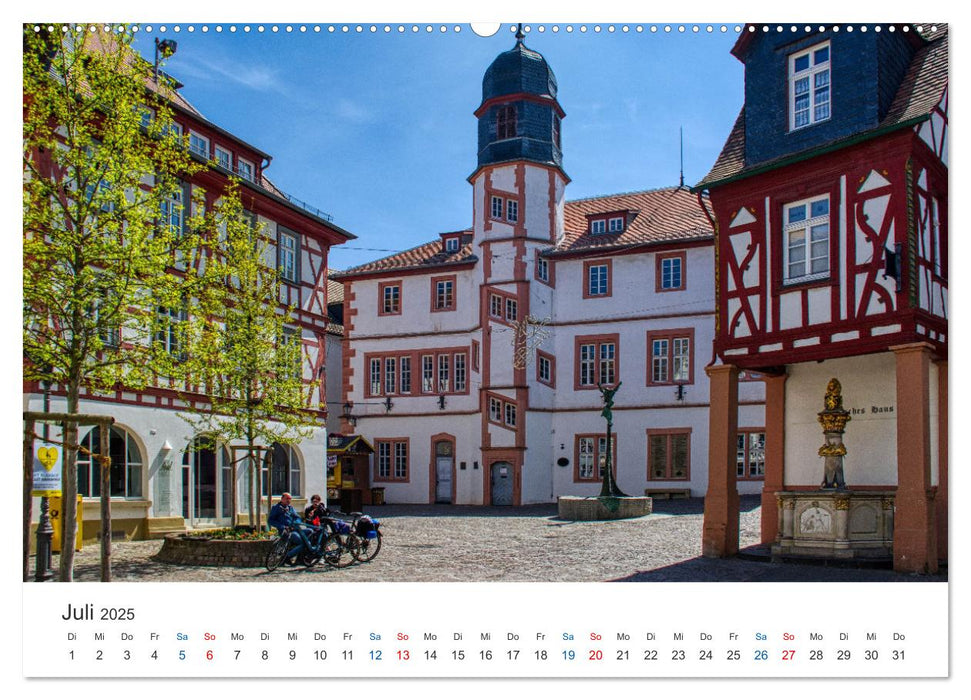 Alzey - Rheinhessens heimliche Hauptstadt (CALVENDO Premium Wandkalender 2025)