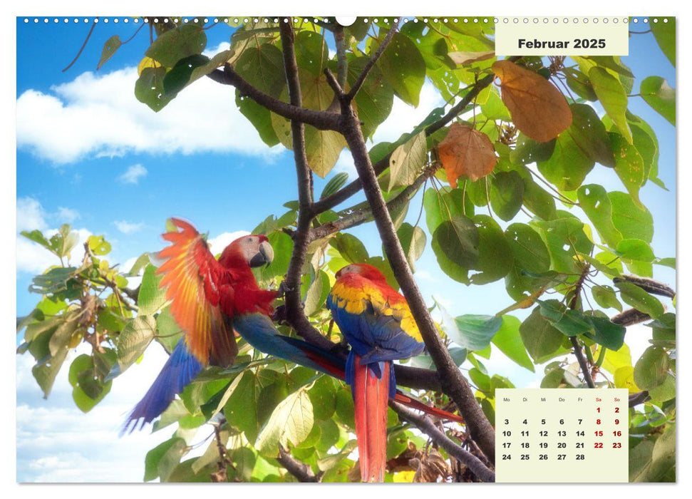 Costa Rica - Land zwischen Karibik und Pazifik (CALVENDO Wandkalender 2025)