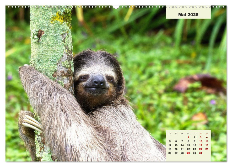 Costa Rica - Land zwischen Karibik und Pazifik (CALVENDO Wandkalender 2025)