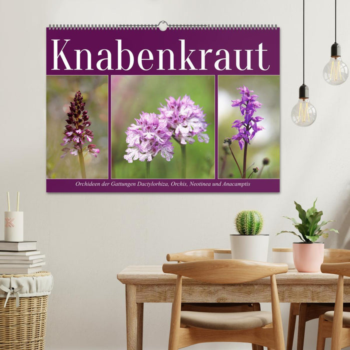 Knabenkraut (CALVENDO Wandkalender 2025)