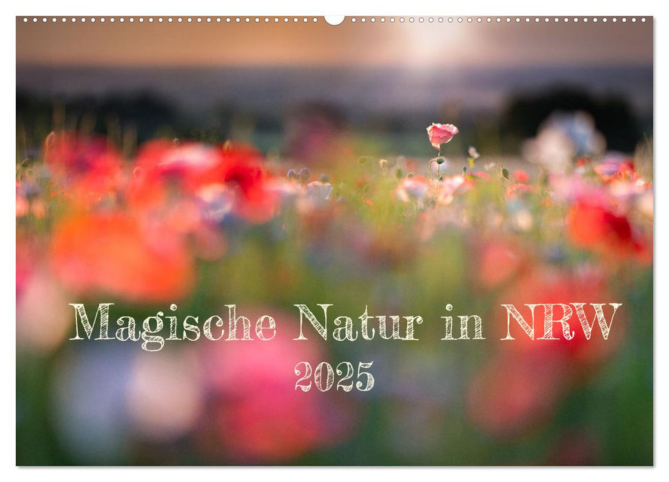 Magische Natur in NRW 2025 (CALVENDO Wandkalender 2025)