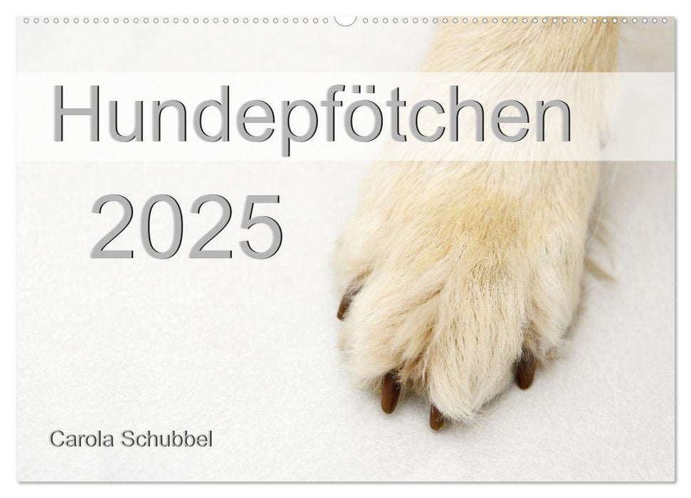 Hundepfötchen (CALVENDO Wandkalender 2025)