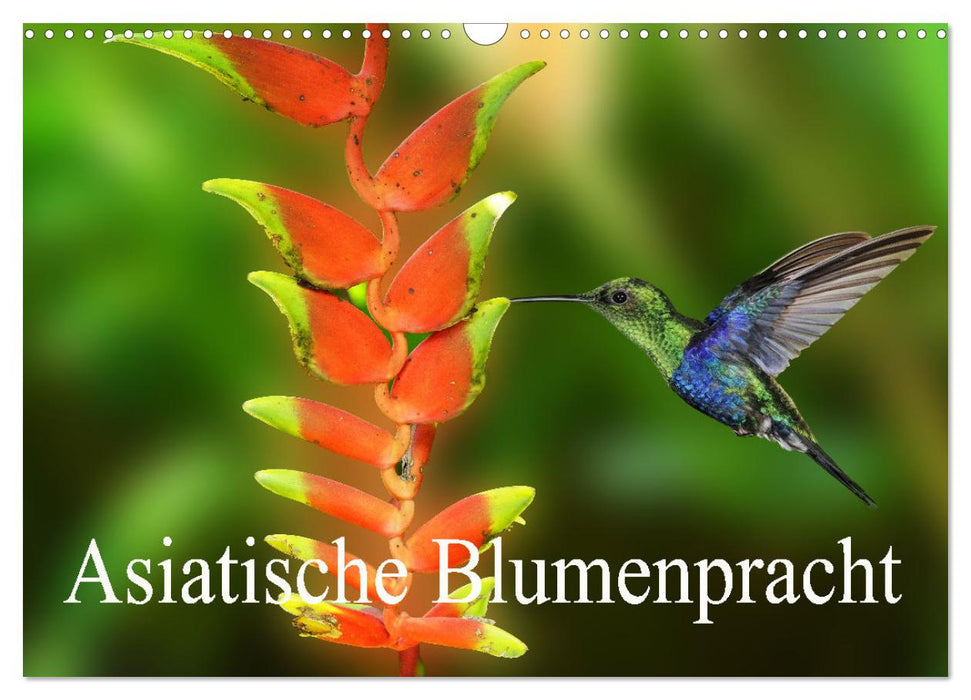 Asiatische Blumenpracht (CALVENDO Wandkalender 2025)