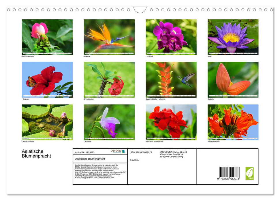 Asiatische Blumenpracht (CALVENDO Wandkalender 2025)