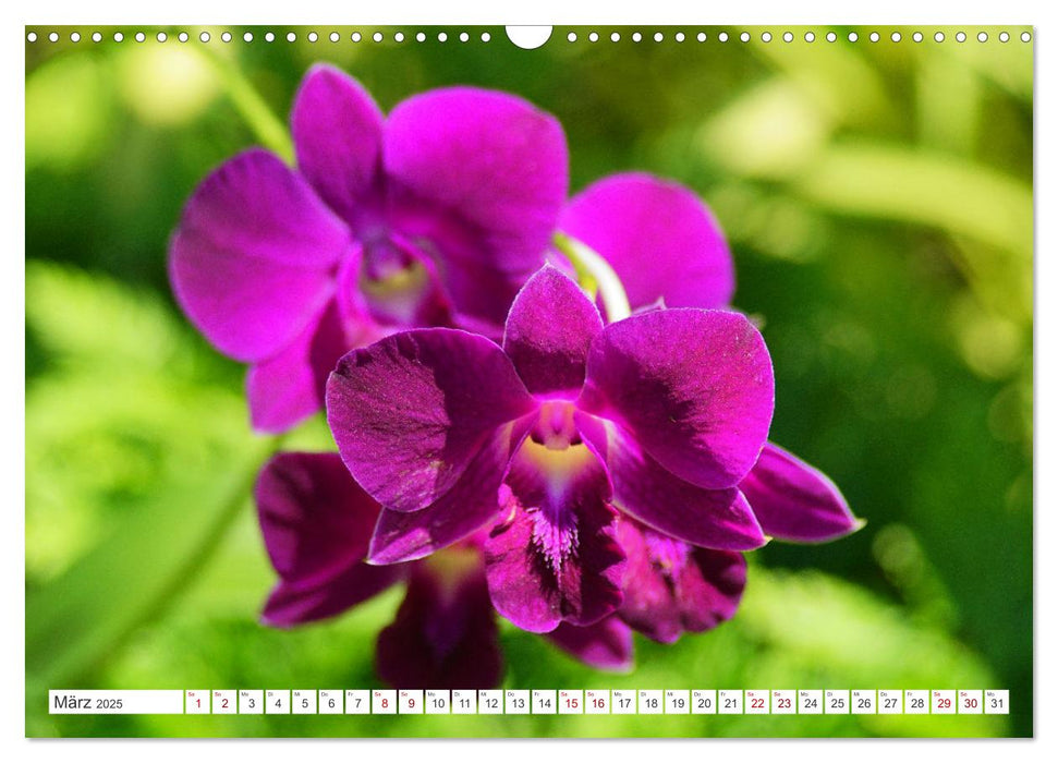 Asiatische Blumenpracht (CALVENDO Wandkalender 2025)