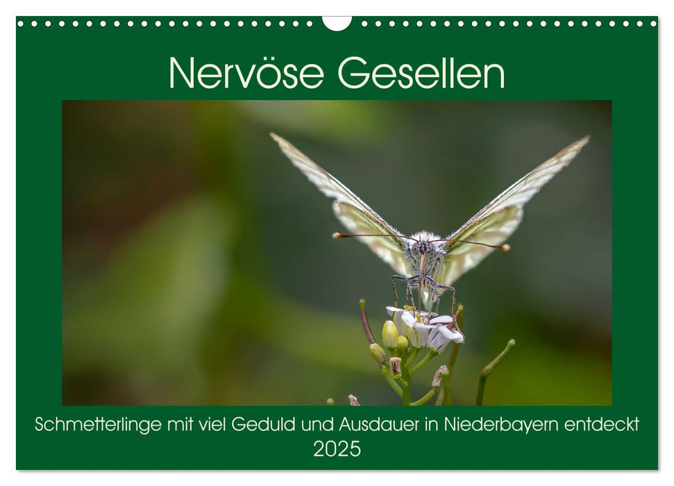 Nervöse Gesellen (CALVENDO Wandkalender 2025)