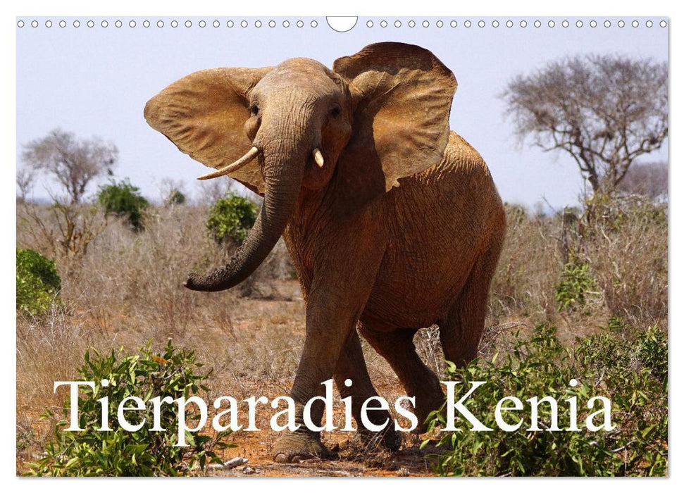 Tierparadies Kenia (CALVENDO Wandkalender 2025)