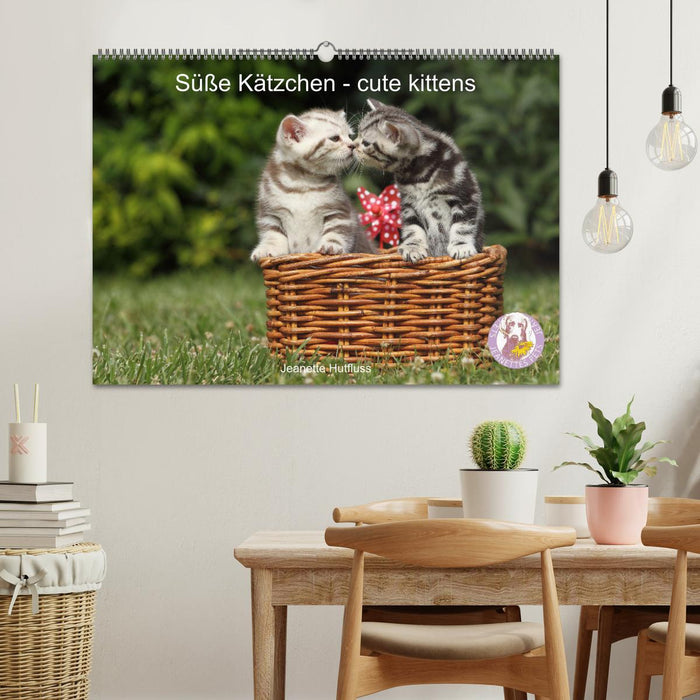 Süße Kätzchen - cute kittens (CALVENDO Wandkalender 2025)