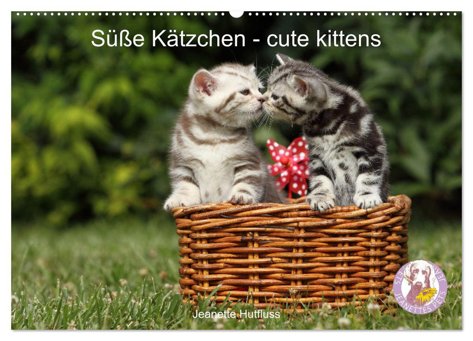 Süße Kätzchen - cute kittens (CALVENDO Wandkalender 2025)