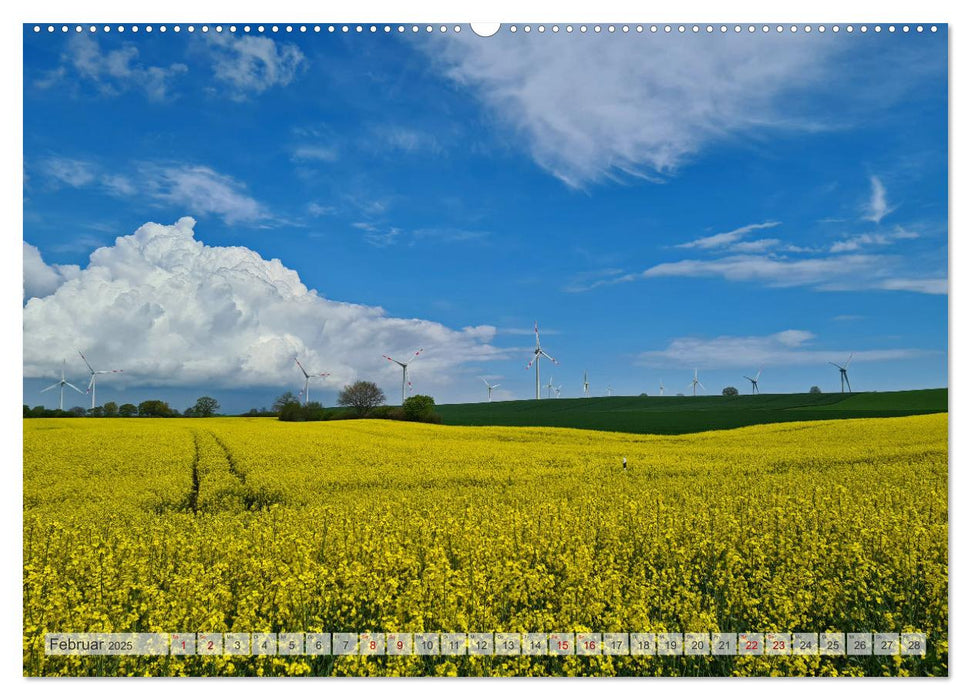 Timmendorfer Strand und Umgebung (CALVENDO Wandkalender 2025)