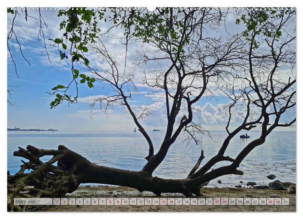 Timmendorfer Strand und Umgebung (CALVENDO Wandkalender 2025)