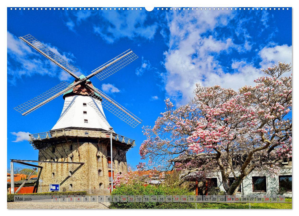 Kappeln und Umgebung (CALVENDO Wandkalender 2025)