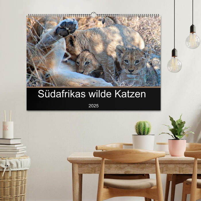 Südafrikas wilde Katzen (CALVENDO Wandkalender 2025)