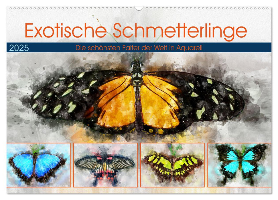 Exotische Schmetterlinge - Die schönsten Falter der Welt in Aquarell (CALVENDO Wandkalender 2025)