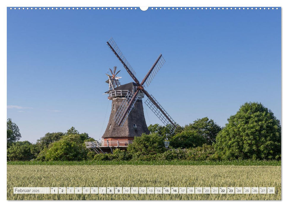 Föhr - Nordfriesische Insel Impressionen (CALVENDO Wandkalender 2025)