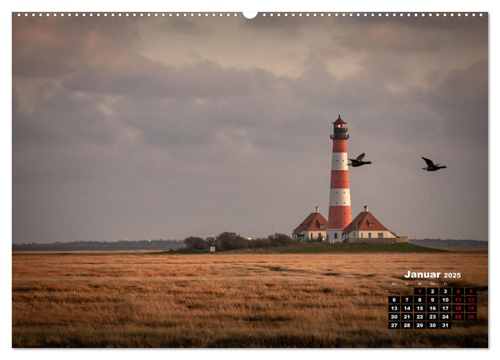 Nordfriesland und die Nordseeküste (CALVENDO Wandkalender 2025)