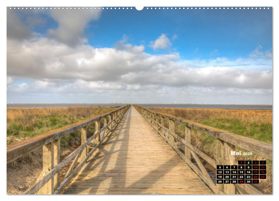 Nordfriesland und die Nordseeküste (CALVENDO Wandkalender 2025)