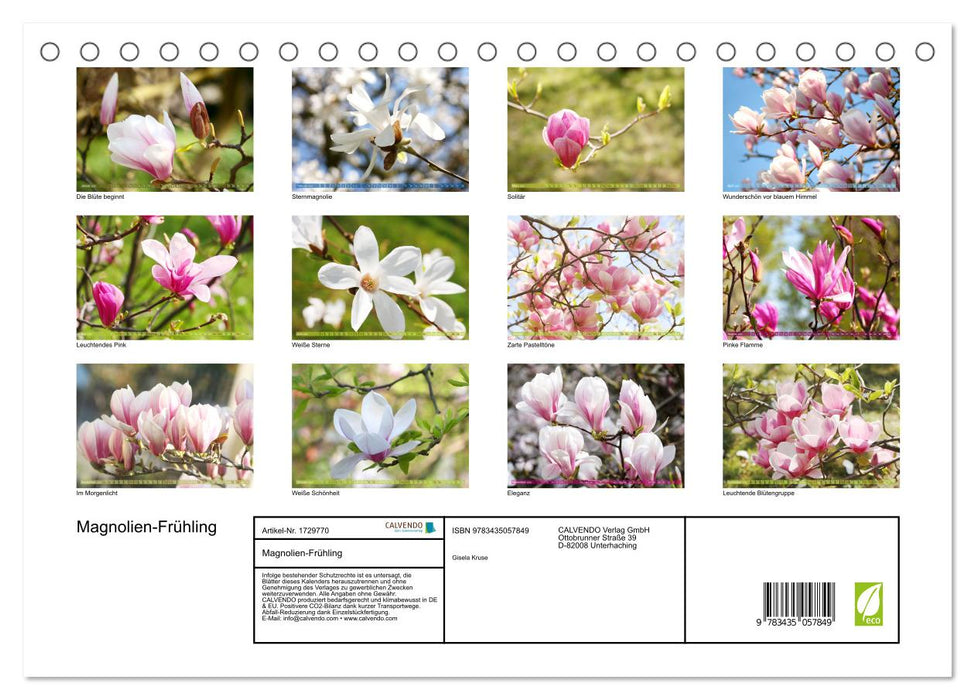 Magnolien-Frühling (CALVENDO Wandkalender 2025)