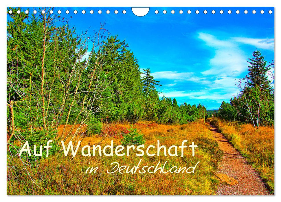 Auf Wanderschaft in Deutschland (CALVENDO Wandkalender 2025)